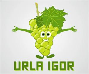 urlaigorlogo