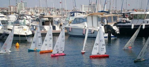 ??????????????????????